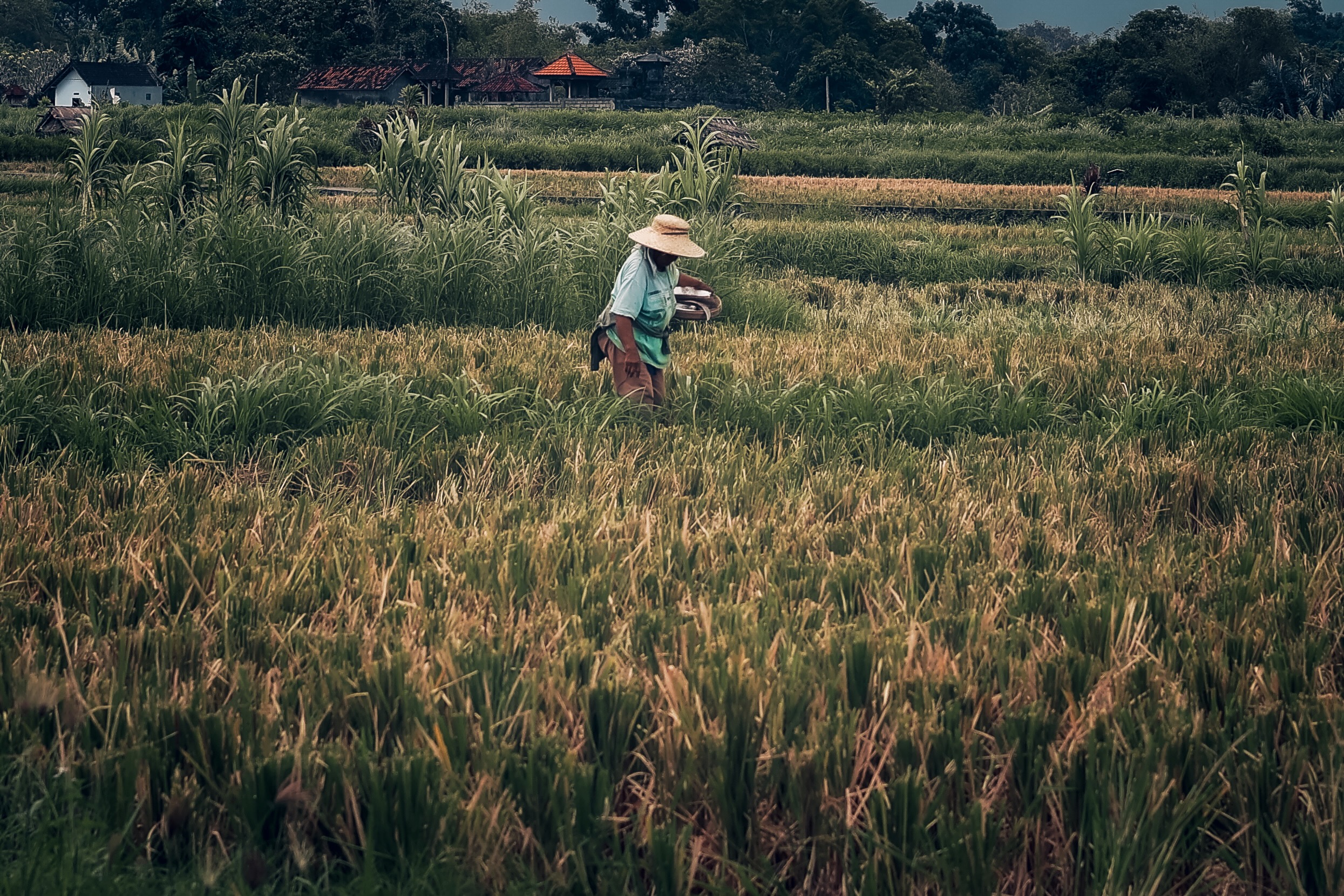 Travel Photography